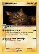 chat electrique