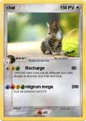 chat