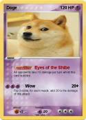 Doge