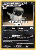 Pug meme