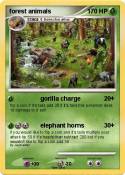 forest animals