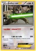 yoda,s cat