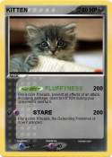 KITTEN