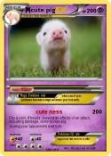 cute pig