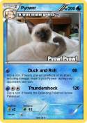 Pyower