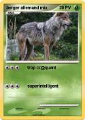 berger allemand