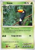 Toucan