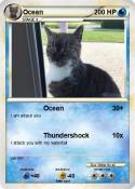 Ocean