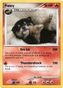 Puppy