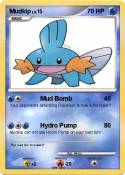 Mudkip