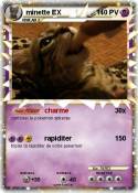 minette EX