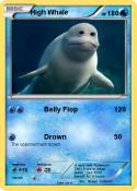 High Whale