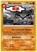 Gato traumado