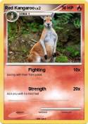 Red Kangaroo