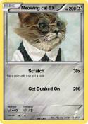 Meowing cat