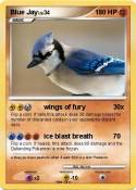 Blue Jay