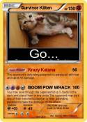 Survivor Kitten