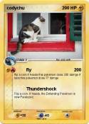 codychu