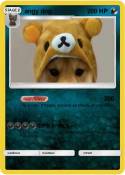 angy dog
