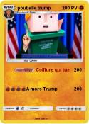 poubelle trump