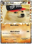Epic Doge