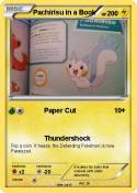 Pachirisu in a