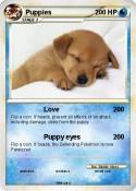 Puppies
