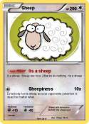 Sheep