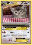 Katze