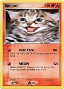 Epic cat!