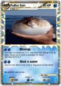 Puffer fish