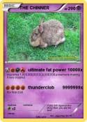 THE CHINNER