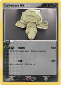 turtles are