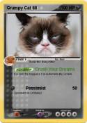 Grumpy Cat 68