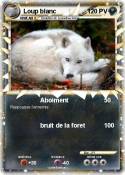 Loup blanc