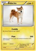 Shiba Inu
