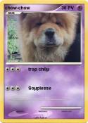 chow-chow