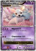 Chihuahua bibie