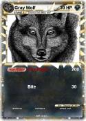 Gray Wolf
