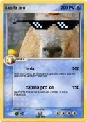 capita pro