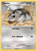 hamster