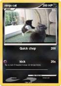 ninja cat