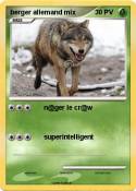 berger allemand