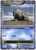 Elephant Seal