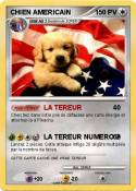 CHIEN AMERICAIN