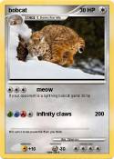 bobcat