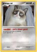 grumpy cat