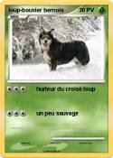 loup-bouvier