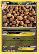Potato