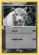 stripe roar